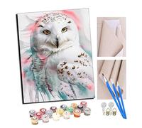TUDOUTU peinture par numero adulte Cadeau de Peinture à l'huile de Bricolage numérique Rêve d'aquarelle de hibou des neiges pour Adultes Peindre par Nombre Kits Home Decor 16 * 20 Pouces Avec cadre