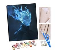TUDOUTU Peinture par numéros Kits Art pour adultes avec pinceaux et acrylique Pigment Diy Peinture numérique pour adultes sur toile Débutant- Esprit de la flamme froide 16 * 20 pouces Avec cadre