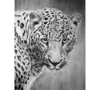 Tufting Kit Complet Portrait Animalier Du Léopard Kit De Broderie À Nouer Soi-Même Fait À La Main,Kits De Tapisserie Diy Pour Coussins Adultes,Grand Tapis À Crochet De Loquet,Motif Pré- 35x46in