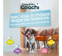Tuggi Ball Coachi pour Chiens et Chiots-Design Robuste,léger,Solide,sûr et drôle,poignée élastique,éducation avec récompense,Rappel,Stop aux morsures et mâchonnements,idéal pour l¿agilité