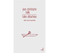 Tuiles détachées Jean-Christophe Bailly (Auteur)