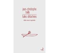 Tuiles détachées Jean-Christophe Bailly (Auteur)