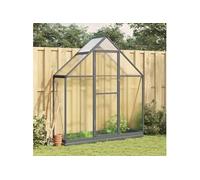 vidaXL Serre avec cadre de base anthracite 169x58x202 cm aluminium