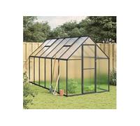 Vidaxl Serre Avec Cadre De Base Anthracite 334x169x195 Cm Aluminium