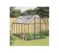 vidaXL Serre avec cadre de base anthracite 334x169x202 cm aluminium