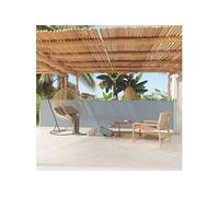 vidaXL Auvent latéral rétractable 317950 – 117x600 cm – Gris