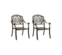 Tuinstoelen 2 st gietaluminium bronskleurig315567