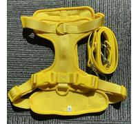 TUITA Ensemble Harnais et Laisse pour Chien, Laisse imperméable et Facile à Nettoyer, Harnais réglable pour Chien avec Support de Sac à crottes de Chien pour Petit et Moi