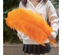 Grandes Plumes d'autruche moelleuses, 10 pièces, Plumes d'autruche Naturelles 50-55CM pour centres de Table de Mariage, décoration de fête de Carnaval