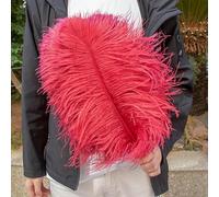 Grandes Plumes d'autruche moelleuses, 10 pièces, Plumes d'autruche Naturelles 50-55CM pour centres de Table de Mariage, décoration de fête de Carnaval