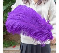 TUITA Grandes Plumes d'autruche moelleuses, 10 pièces, Plumes d'autruche Naturelles 50-55CM pour centres de Table de Mariage, décoration de fête de Carnaval
