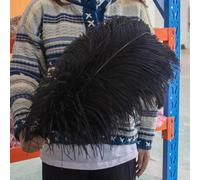 TUITA Grandes Plumes d'autruche moelleuses, 10 pièces, Plumes d'autruche Naturelles 50-55CM pour centres de Table de Mariage, décoration de fête de Carnaval