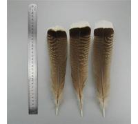 TUITA Plumes d'aigle Naturelles, 10 pièces/lot, Accessoires artisanaux, centres de Table, Grande Queue de Dinde, Plume, décoration de Coiffure Indienne, DIY