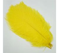 Plumes d'autruche colorées 10 pièces/lot, pour Artisanat, décoration de Mariage, Accessoires artisanaux, centres de Table, décor de Plumas de Carnaval