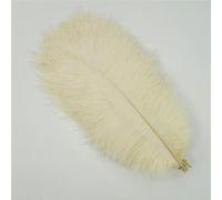 TUITA Plumes d'autruche colorées 10 pièces/lot, pour Artisanat, décoration de Mariage, Accessoires artisanaux, centres de Table, décor de Plumas de Carnaval