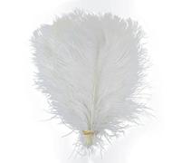 TUITA Plumes d'autruche colorées 55-60cm, 10 pièces, pour Artisanat, Carnaval, Mariage, Bricolage, décor de Center de Table, Plumes d'autruche moelleuses, Accessoires en Vrac
