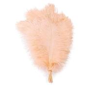 TUITA Plumes d'autruche colorées 55-60cm, 10 pièces, pour Artisanat, Carnaval, Mariage, Bricolage, décor de Center de Table, Plumes d'autruche moelleuses, Accessoires en Vrac