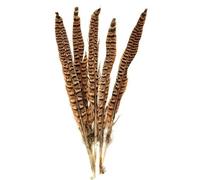 TUITA Plumes de Queue de Faisan Naturelles, 10 pièces/lot, pour l'artisanat, Plumes colorées de 10 à 12 Pouces pour la Fabrication de Bijoux, Plumes de décorations de fête DIY