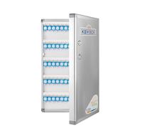 TUKA-i-AKUT Armoires à 120 Clés en Aluminium, Placards à Clés pour Montage Mural, avec Porte-Clés + Kit de Montage, Boîte à Clés de Stockage de Clés de Alliage d'Aluminium Armoires à Clés TKD8650-120