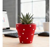 TUKRKRS Cute White Polka Dot Ceramic Planter with Drainage - Small Round Flower Pot for Succulents, Herbs, and Cactus - Modern Indoor Garden Decor for Desk and Windowsill(Red)