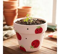 TUKRKRS Hand-Painted Terracotta Plant Pot with Tray, Cute Succulent and Green Plant Planter, Breathable Fun Flower Pot, Indoor Office Home Desk Gift