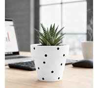 TUKRKRS Modern Red Polka Dot Flower Pot - Small Glazed Ceramic Planter with Drainage - Cute Decorative Pot for Succulents - Stylish(Blanc)