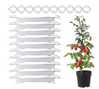 tulahkomen Lot de 10 crochets pour treillis à tomates | Réutilisables et robustes | Supports pour treillis de tomates - Pour extérieur, légumes, fruits, plantes, fleurs, concombre, pastèque, raisins