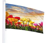 Tulip Flag 3x5 FT Floral Field at Sunset Cloud Pink Yellow Tulip Flower Green Leaves Outdoor Flags Large Welcome Yard Banners Home Garden Yard Lawn Decor