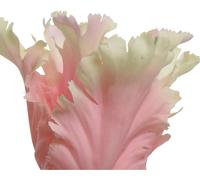 Tulipe, 68cm, rose clair, Kaeming