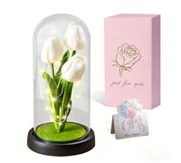 Tulipe éternelle pour elle, lampe tulipe artificielle à LED dans un dôme transparent, décoration d'intérieur pour la Saint-Valentin, anniversaire, fête des mères, anniversaire, cadeau de Noël