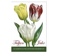 Tulipes - année, Version française (Calendrier mural 2026 DIN A3 portrait), Calendrier CALVENDO mensuel