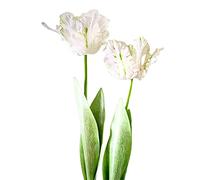 Tulipes artificielles, 68,1 cm, tulipes artificielles à longue tige pour la décoration de la maison, du bureau (1 pièce blanc)