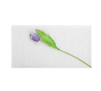 TULLE FIN FILET 1.5X10M BLANC