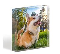 TULLUN Acrylique Cristal Commémorative Personnalisée Individuel Transparent Plaque Bloc pour Animal Chien Chat 3D Effect Photo Image Texte Nom Initiales Date - 3D Effet Pleine Impression