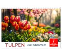 Tulpen - ein Farbenmeer (Wandkalender 2026 DIN A4 quer), CALVENDO Monatskalender: Beliebte Frühlingsblume in malerischen Farben.