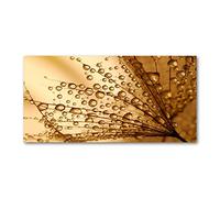 Tulup Crédence de cuisine 100x50cm Dosseret en verre Fond de hotte Verre de sécurité trempé Splashback Guard - Fleurs et plantes - Orange - Graines De Pissenlit
