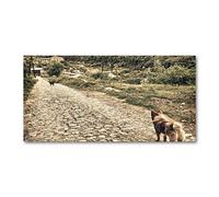 Tulup Crédence de cuisine 100x50cm Dosseret en verre Fond de hotte Verre de sécurité trempé Splashback Guard - Animaux - Beige - Deux Chiens Sur La Colline