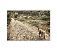 Tulup Crédence de cuisine 100x70cm Dosseret en verre Fond de hotte Verre de sécurité trempé Splashback Guard - Animaux - Beige - Deux Chiens Sur La Colline