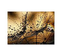 Tulup Crédence de cuisine 100x70cm Dosseret en verre Fond de hotte Verre de sécurité trempé Splashback Guard - Fleurs et plantes - Orange - Graines De Pissenlit