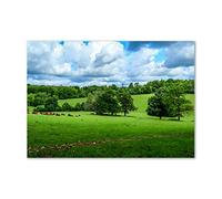 Tulup Crédence de Cuisine 100x70cm Dosseret en Verre Fond de hotte Verre de sécurité trempé Splashback Guard - Paysage - Vert - Collines Vertes