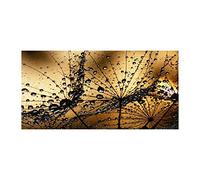 Tulup Crédence de Cuisine 120x60cm Dosseret en Verre Fond de hotte Verre de sécurité trempé Splashback Guard - Fleurs et Plantes - Orange - Graines De Pissenlit