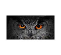 Tulup Crédence de cuisine 120x60cm Dosseret en verre Fond de hotte Verre de sécurité trempé Splashback Guard - Animaux - Orange - Les Yeux Du Diable D'un Hibou
