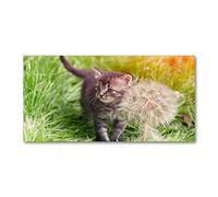 Tulup Crédence de cuisine 120x60cm Dosseret en verre Fond de hotte Verre de sécurité trempé Splashback Guard - Animaux - Gris - Chaton Avec Un Chalumeau
