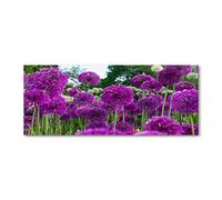 Tulup Crédence de cuisine 125x50cm Dosseret en verre Fond de hotte Verre de sécurité trempé Splashback Guard - Fleurs et plantes - Violet - Fleurs D'ail