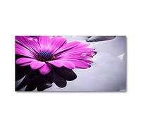 Tulup Crédence de cuisine 140x70cm Dosseret en verre Fond de hotte Verre de sécurité trempé Splashback Guard - Fleurs et plantes - Rose - Gerbera