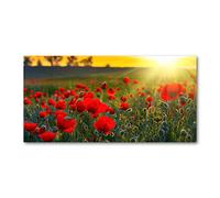 Tulup Crédence de cuisine 140x70cm Dosseret en verre Fond de hotte Verre de sécurité trempé Splashback Guard - Paysage - Rouge - Champ De Coquelicots