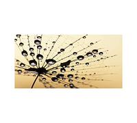 Tulup Crédence de Cuisine 140x70cm Dosseret en Verre Fond de hotte Verre de sécurité trempé Splashback Guard - Fleurs et Plantes - Beige - Le Pissenlit A Été Semé