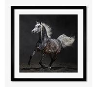 Tulup Image Cadre MDF 50x50 cm Moderne Tableau Cadre en Bois Photo Affiche Peinture - Grey Arabian Horse