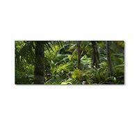 Tulup Impression sur Verre 125x50 cm Image Tableau Photo décorative panoramique pour la Cuisine et Le Salon - Fleurs et Plantes - Forêt Tropicale - Vert