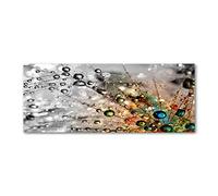 Tulup Impression sur Verre 125x50 cm Image Tableau Photo décorative panoramique pour la Cuisine et Le Salon - Fleurs et Plantes - Graines De Pissenlit - Multicolore